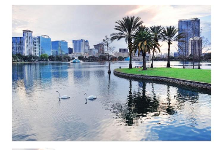 College Park-Orlando 5Star Villa Oasis - Home Away From Home - Quiet Neighborhood-Private Botanical Courtyard - Mins From Eola,Dt, Winter Park - Free Parking & Ev Plug In Eksteriør billede